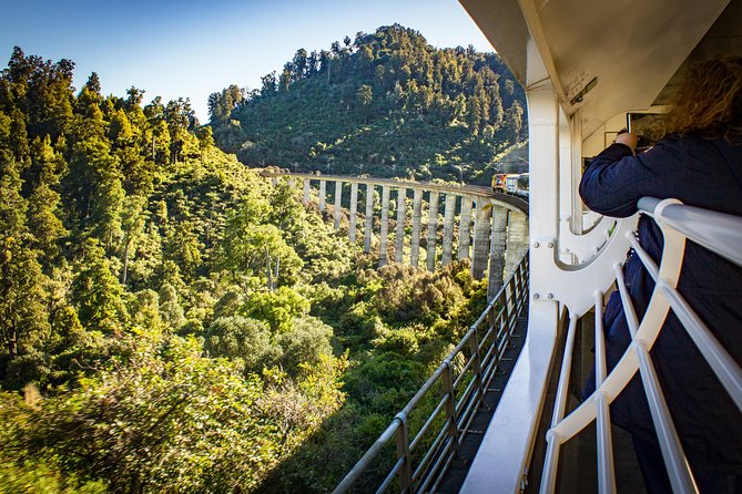 Northern Explorer Train Journey from Auckland to Wellington - Onboard food: the café carriage, what’s worth it, and how to keep your budget sane