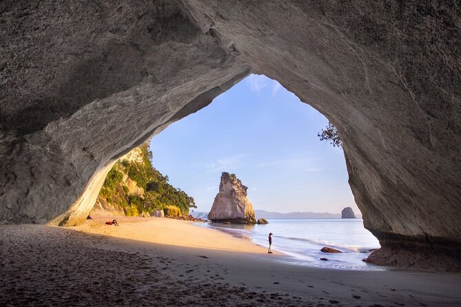 Piha Beach & Wilderness Nature : PRIVATE TOUR 8 hrs - Choosing Arataki and Karekare without losing your day