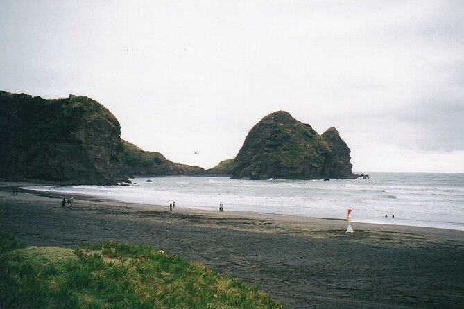 Piha Beach & Wilderness Nature : PRIVATE TOUR 8 hrs - What to expect from timing and drive time