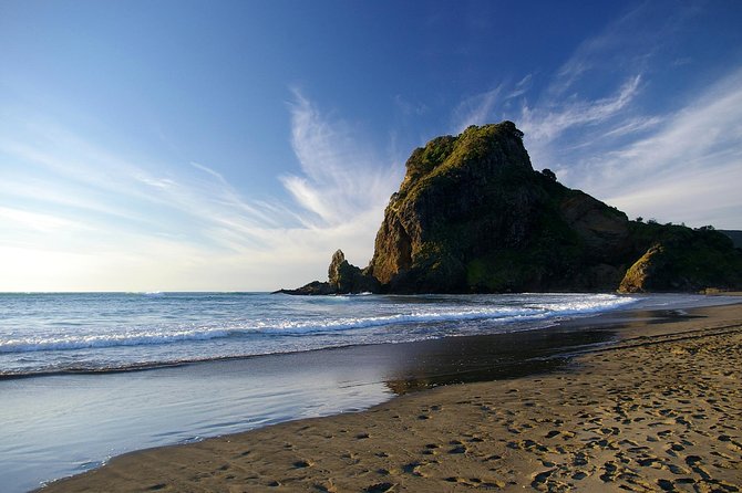 Piha Waitakere Rainforest Wine Tour from Auckland - Why This West Auckland Combo Tour Feels Worth It
