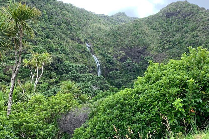Piha Waitakere Rainforest Wine Tour from Auckland - Waitakere Ranges and Karekare Falls Without the Driving Headaches