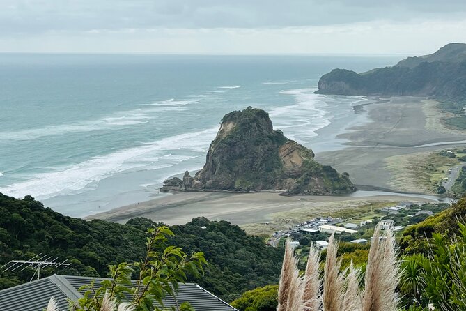 Private Auckland best Spots + Piha beach and rainforest day Tour - Key things I’d plan around
