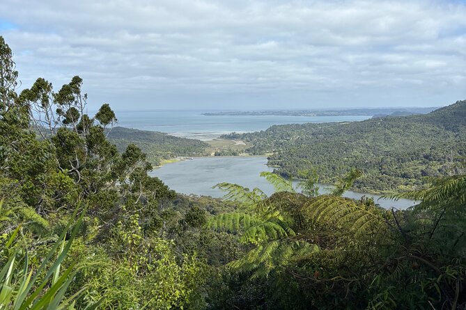 Private Auckland best Spots + Piha beach and rainforest day Tour - Westhaven Marina and Mount Eden: start with Auckland’s big picture