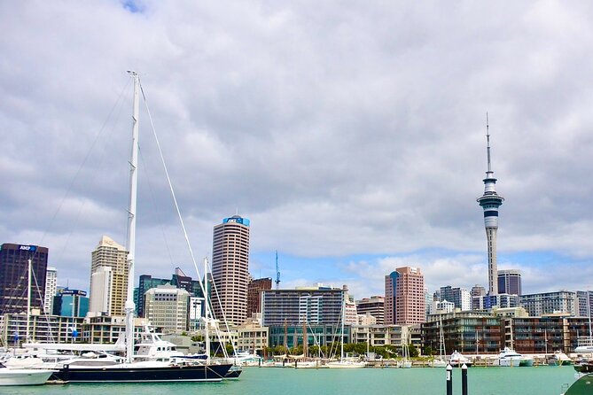 Private Auckland best Spots + Piha beach and rainforest day Tour - Auckland Domain Winter Gardens: a quiet reset from big-city motion