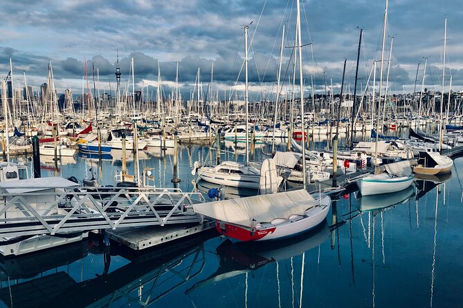 Private Auckland Best Top 5 Spots Half day Tour - The Extras That Make This Tour Feel Worth It