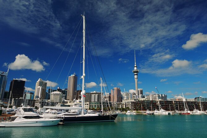 Private Auckland City Highlights Tour - Key points to know before you go