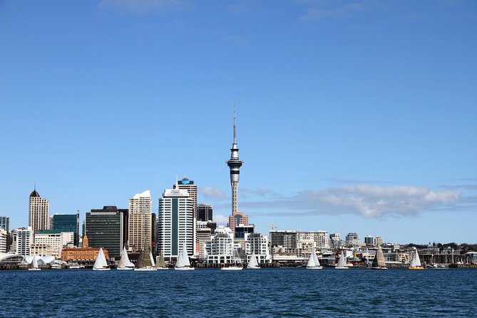 Private Auckland City Tour For Small Group in a luxury vehicle. - Key things that make this Auckland private tour worth your time