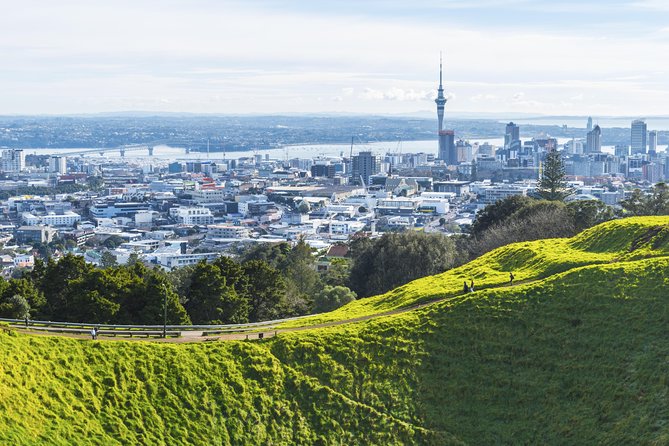 Private Auckland City Tour Including Auckland Tour House Visit - Quick hits you’ll feel right away