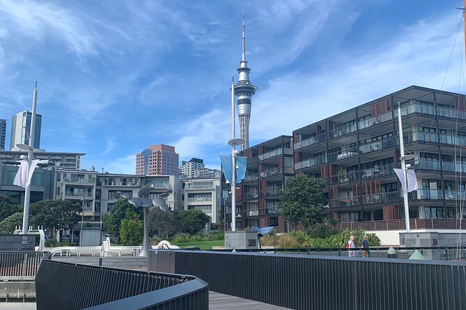 Private Auckland City Tour Including Auckland Tour House Visit - Cliff Road from St Heliers toward Achilles Point