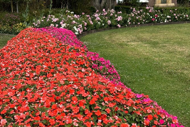 Private Auckland City Tour Including Auckland Tour House Visit - Price and logistics: what $465.43 per group really buys you