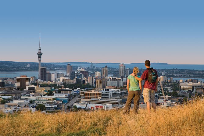 Private Auckland Half Day Tour - Price and value: what $369.24 buys you in practice