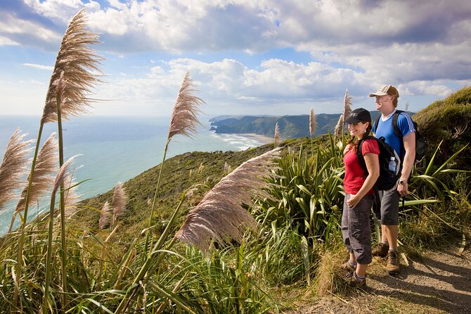 Private Auckland Luxury Tour - Karekare Falls: The Waterfall Walk That Breaks Up the Day