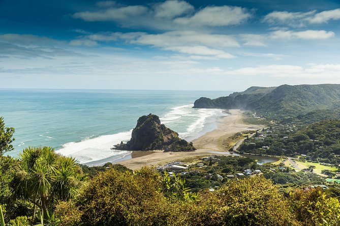 Private Auckland Luxury Tour - Food, Comfort, and the Small Things You Actually Feel