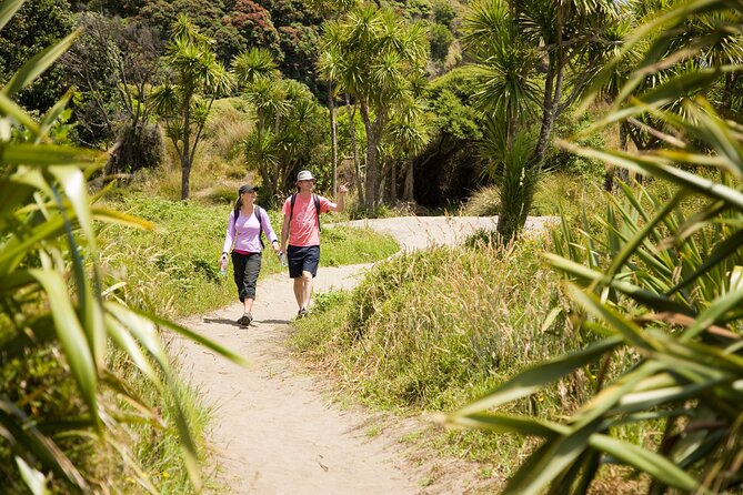 Private Auckland Luxury Tour - Price and Value: Is $524.38 Per Person Fair?