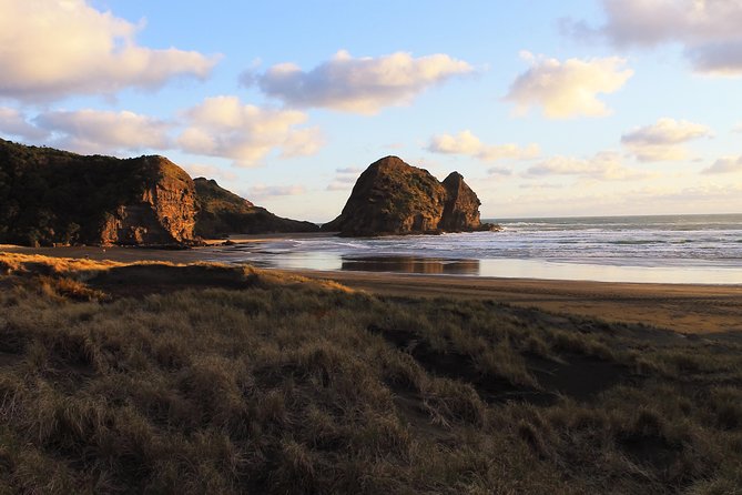 Private Auckland's West Coast - Piha/ Muriwai - Wild West Tour - Arataki Visitor Centre: your warm-up to the Waitākere Ranges