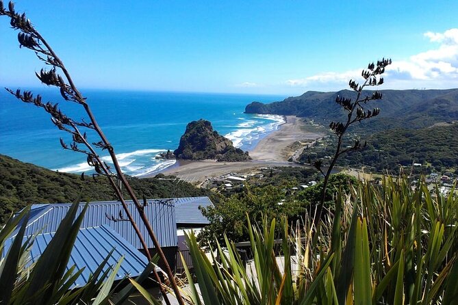 Private Auckland Sightseeing - Full Day/Half Day Hidden Gems Tour - Key things to know before you book