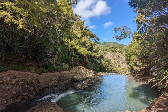 Private Auckland Sightseeing - Full Day/Half Day Hidden Gems Tour - Mercer Bay Loop Walk and Arataki: coastal clifftops and Waitākere Ranges views
