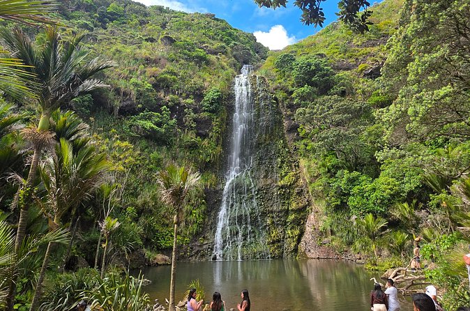 Private Auckland West Coast Tour Piha Beach and Karekare Falls - Guides make the difference: Kenneth, Jun, Owen, Hans