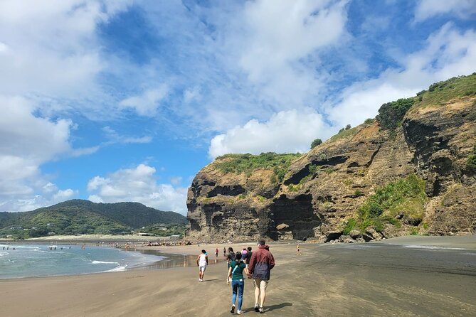 Private Auckland West Coast Tour Piha Beach and Karekare Falls - Price and value: what $155.14 per person really buys