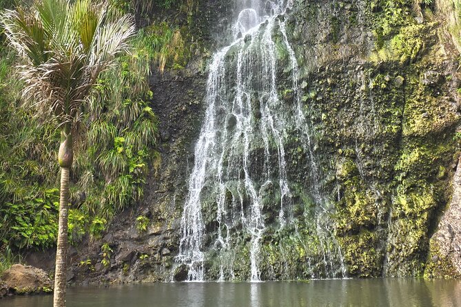 Private Auckland West Coast Tour Piha Beach and Karekare Falls - Karekare Falls near The Piano filming country