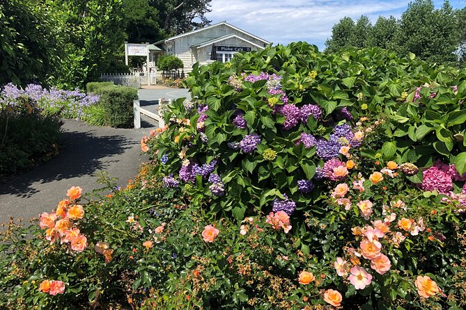 Private Auckland Wine & Dine Matakana Country & Cuisine - Ask questions all day: the guide factor (and Nigel’s value)