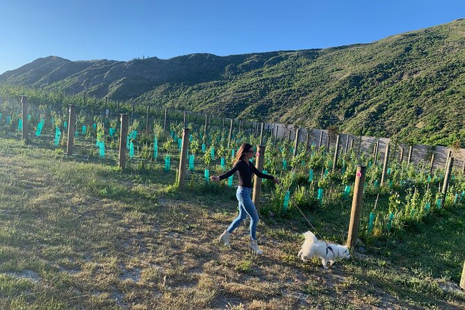 Private Dog Friendly Wine Tour with your Local Guide - Key things you’ll notice on this Waiheke wine day