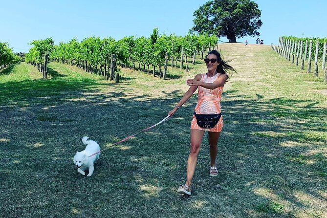 Private Dog Friendly Wine Tour with your Local Guide - Waiheke Wine, but Make It a Private Day for Your Group