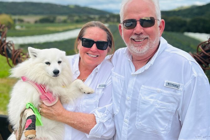 Private Dog Friendly Wine Tour with your Local Guide - After Lunch: Another Walk, More Views, Then a Final Tasting