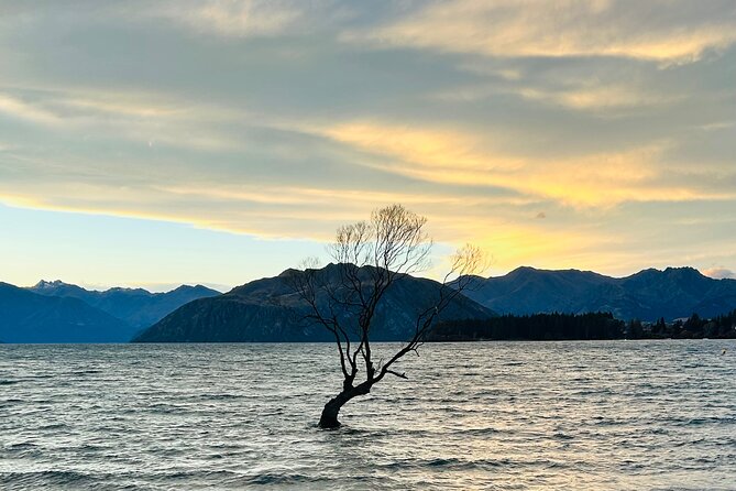 Private Driver Hire – Full-Day Touring-Auckland/Rotorua/Hamilton - Key points before you book