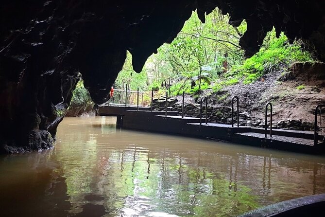 Private Hobbiton & Blue Springs Day Trip from Auckland - Price and value: what $527.49 per person buys you