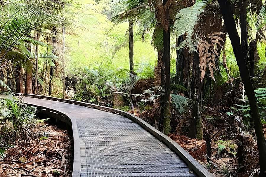 Private Hobbiton & BlueSprings & Redwood forest fromAuckland - The Real Value: Transport, Snacks, WiFi, and Guides Who Keep It Relaxed