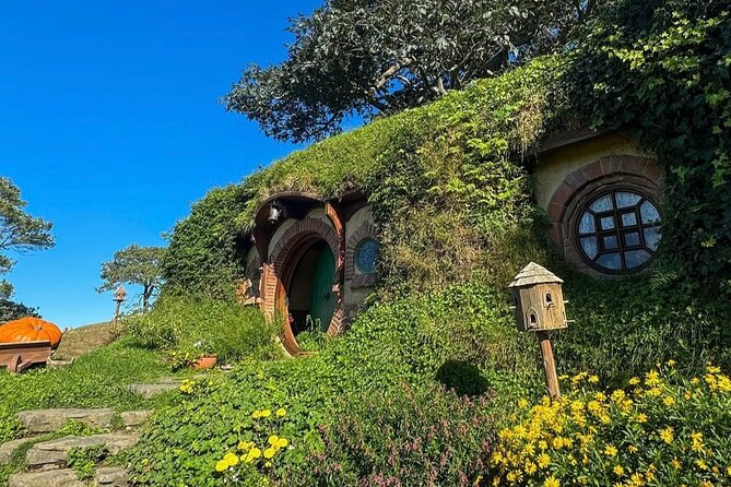 Private Hobbiton Movie Set and Rotorua Day Trip from Auckland - Lady Knox Geyser around 10:15 AM: why the timing is part of the magic