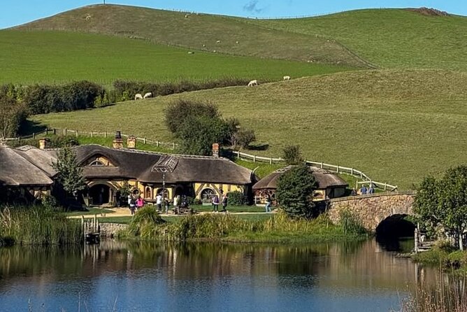 Private Hobbiton Movie Set and Rotorua Day Trip from Auckland - Te Puia: Māori culture and kiwi sanctuary at an extra NZ$95