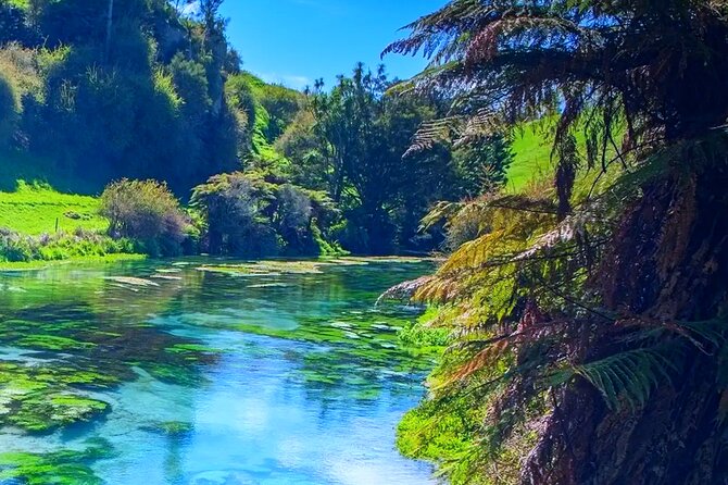 Private Hobbiton, Waitomo Caves, Blue Spring & Hamilton Transfer - Who this private day trip is best for (and who should skip it)