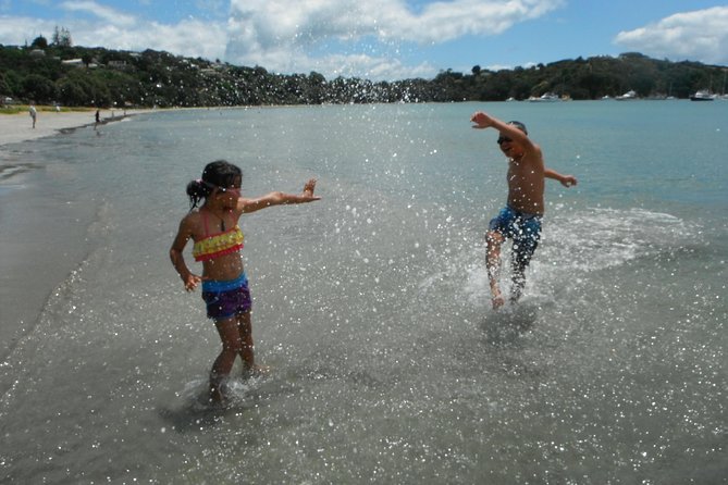 Private Maori Walking Tour with Wine Tasting and Lunch - Starting at Matiatia and walking the Owhanake–Oneroa routes