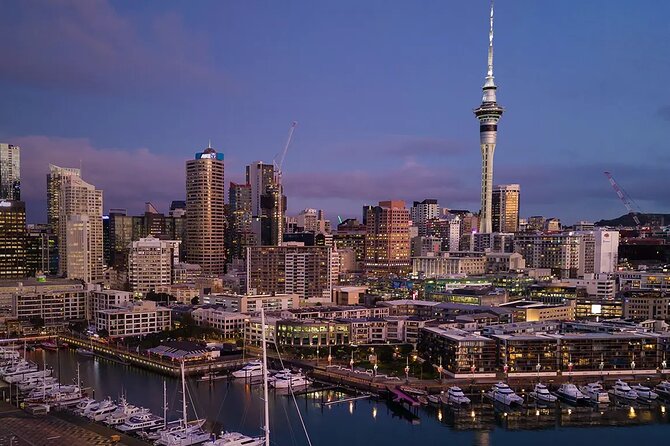 Private One-Way Transfer: Auckland Airport to Auckland City Hotel - Key Highlights That Matter in Real Life
