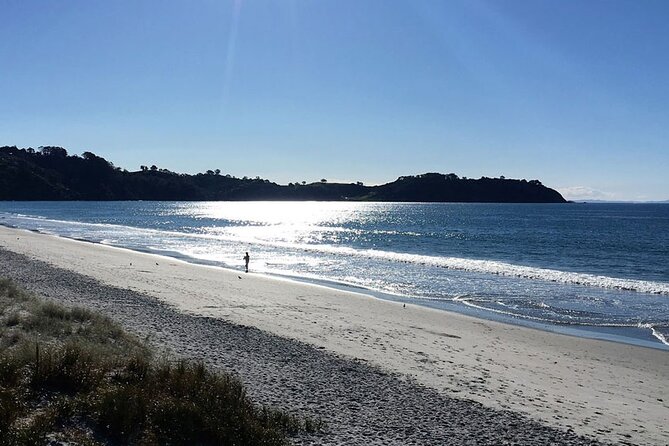 Private Personalised Tour in Waiheke Island - Should you book Terra & Tide’s private Waiheke tour?