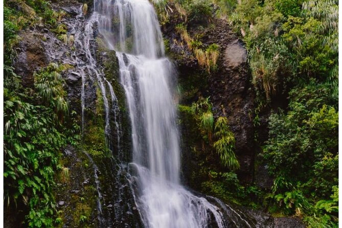 Private Piha Beach, Rainforest Adventure & Mt. Eden with Guide - Why this private Auckland day feels like three trips