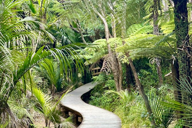 Private Piha Beach, Rainforest Adventure & Mt. Eden with Guide - Mercer Bay Loop: cliff walk to the Tasman Sea