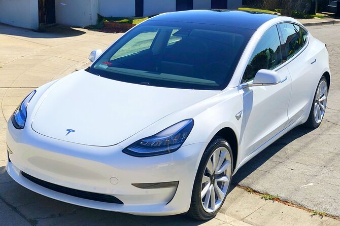 Private Tesla Transfer: Auckland, Tauranga, Rotorua, Taupo - Tesla Model 3 comfort: why it’s not just about style