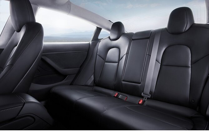 Private Tesla Transfer: Auckland, Tauranga, Rotorua, Taupo - Route options that matter: Auckland, Hamilton, Tauranga, Rotorua, Taupo