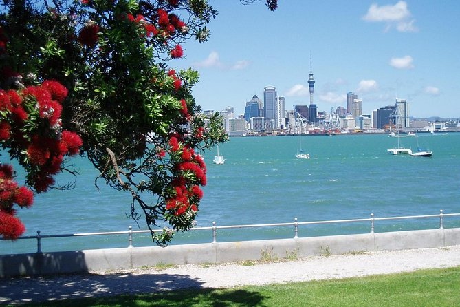 Private Tour: Auckland City and Countryside Tour - Mt Eden / Maungawhau: The Volcanic Viewpoint Stop You’ll Remember