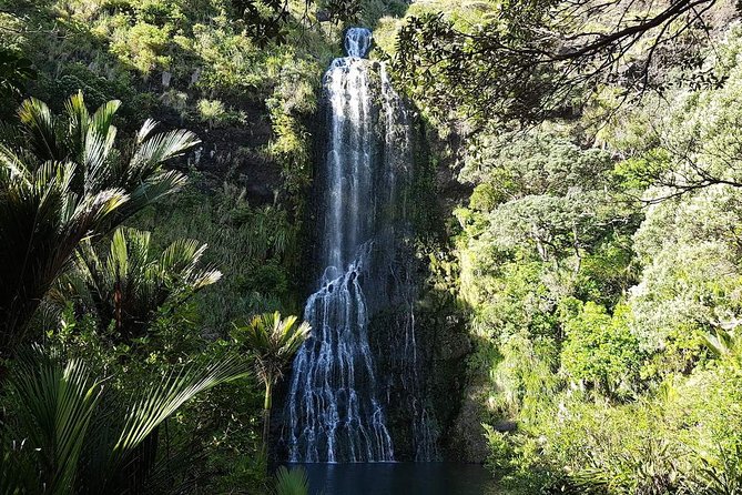 Private Tour: Auckland City and Countryside Tour - Mission Bay Beach and Auckland Domain: The Coast-Green Balance