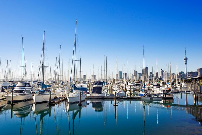 Private Tour: Auckland City and Countryside Tour - The Waterfall Stop: Break Time for Your Eyes