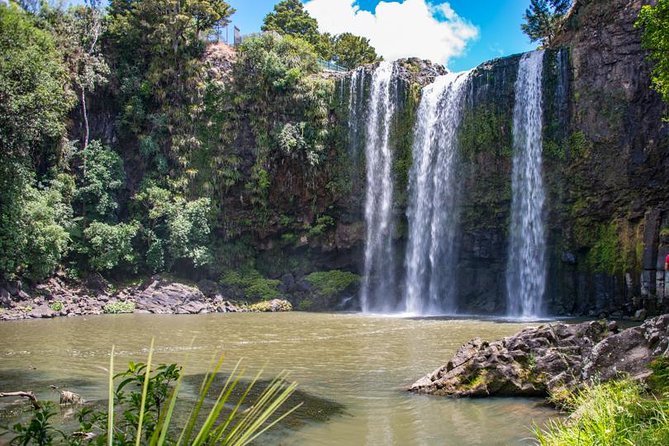 Private Tour: Bay of Islands Day Trip from Auckland - Weather, Timing, and Staying Flexible on a North Coast Day