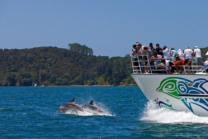 Private Tour: Bay of Islands Day Trip from Auckland - Waitangi Treaty Grounds: Cultural Stop With a Paid Ticket Option