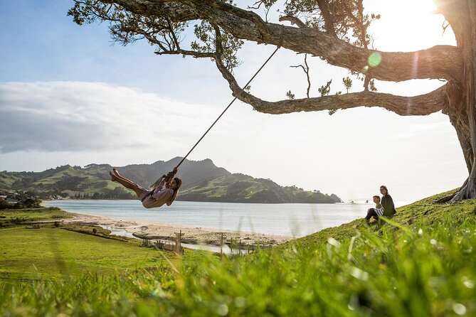 Private Tour - Coromandel Beach, Caves & Forest - Auckland to the Coromandel: what the private day gets you