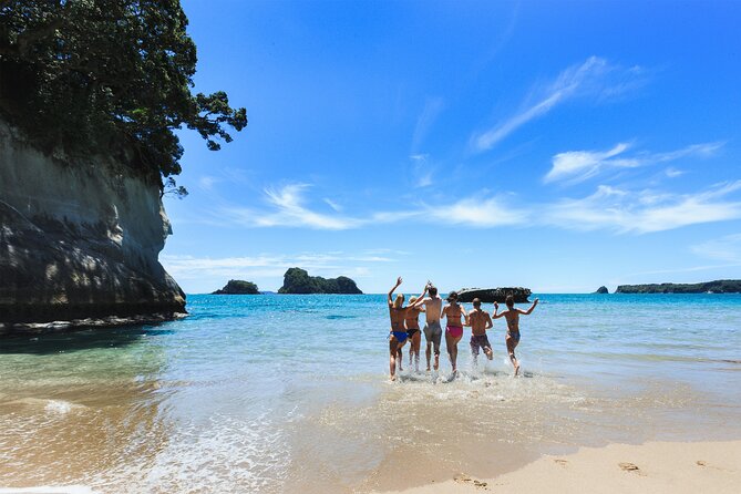 Private Tour - Coromandel Beach, Caves & Forest - The comfort details: lunch, snacks, WiFi, and a real break