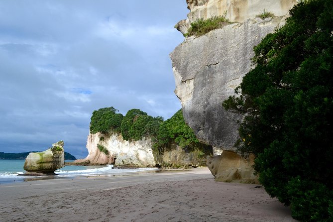 Private Tour - Coromandel Beach, Caves & Forest - A guide can make the difference between good and memorable