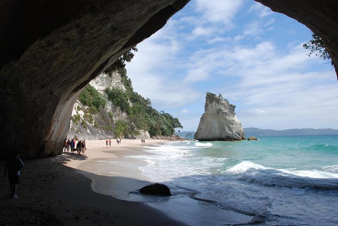 Private Tour - Coromandel Beach, Caves & Forest - Price and value: is $589.54 per person a fair deal?